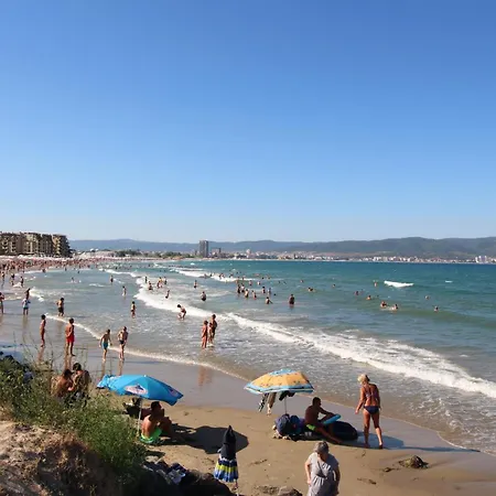 Kasandra 'д' 5 Sunny *